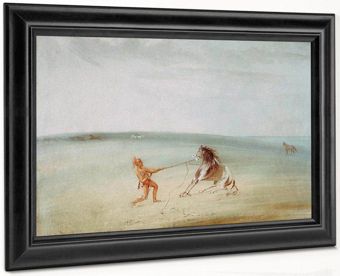 Breaking Down The Wild Horse By George Catlin Fine Art Print