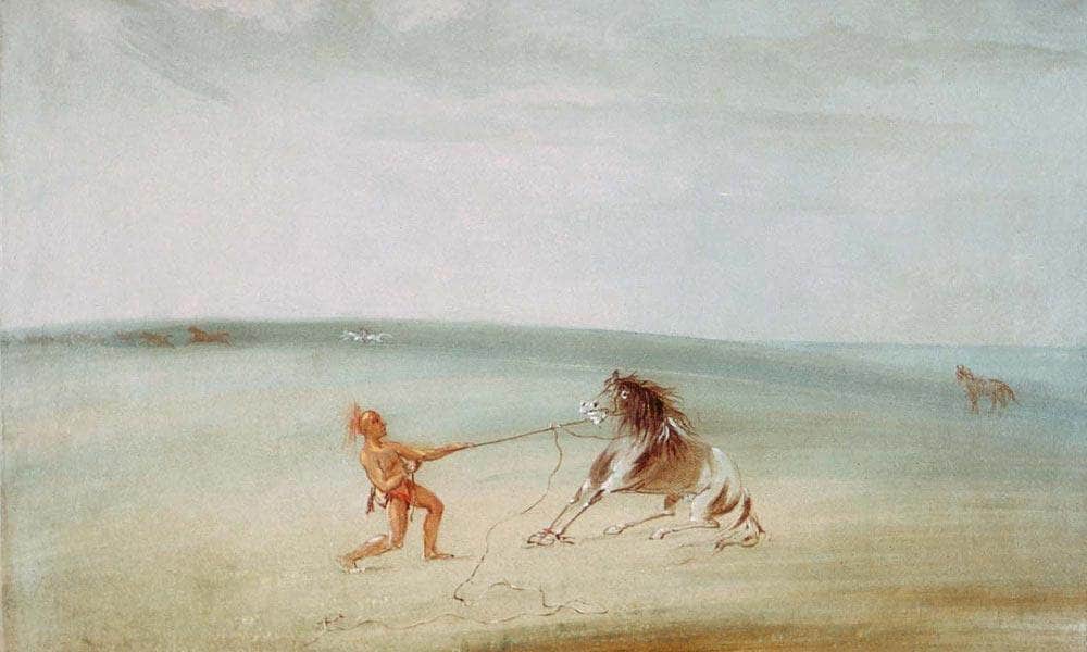 Breaking Down The Wild Horse By George Catlin Fine Art Print