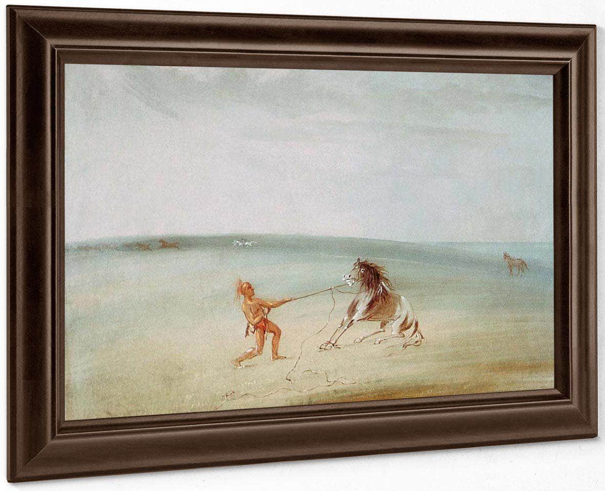 Breaking Down The Wild Horse By George Catlin Fine Art Print