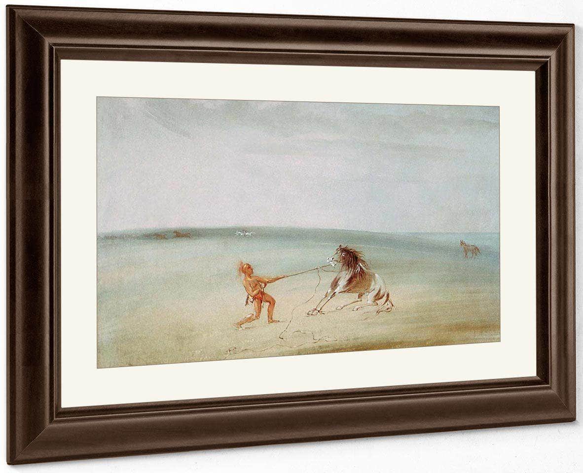 Breaking Down The Wild Horse By George Catlin Fine Art Print