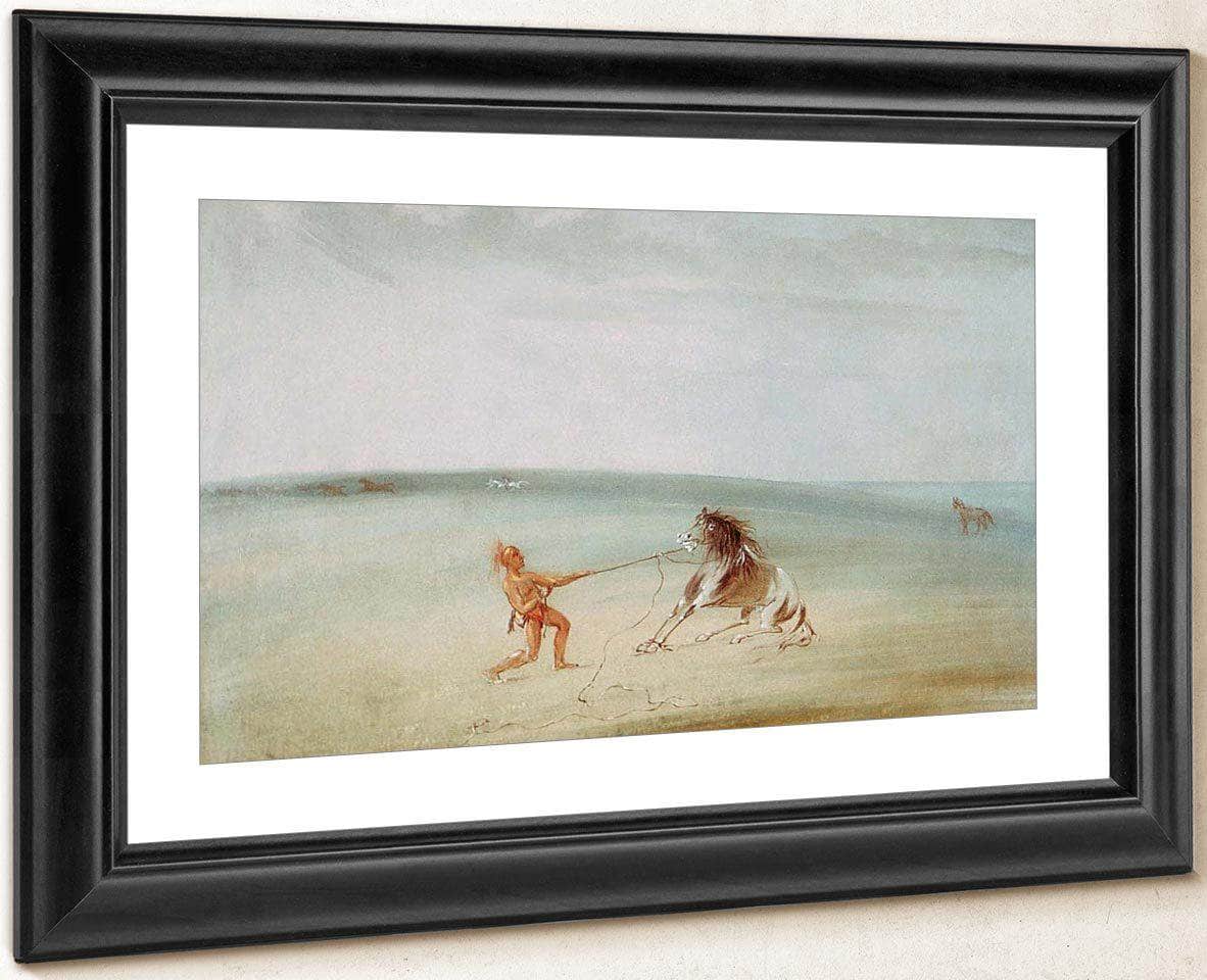Breaking Down The Wild Horse By George Catlin Fine Art Print