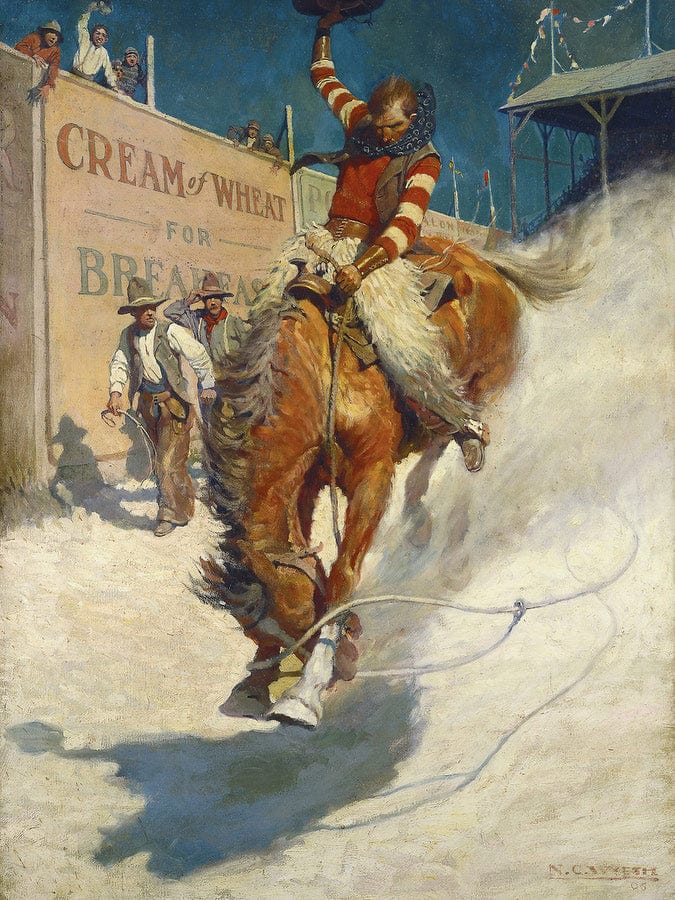 Bronco Buster By NC Wyeth Fine Art Print