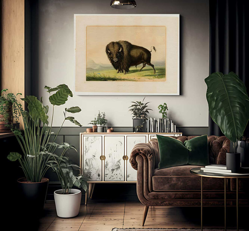 Buffalo Bull Grazing  No.2 By George Catlin Fine Art Print