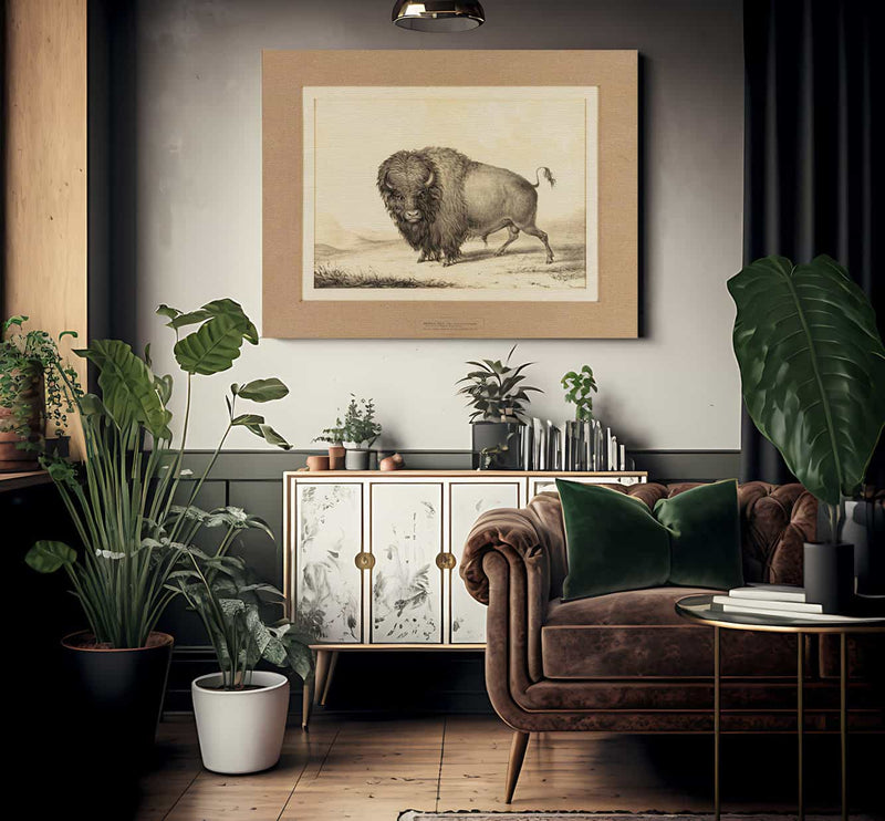 Buffalo Bull  No. 2 By George Catlin Fine Art Print