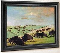 Buffalo Bulls Fighting In Running Season, Upper Missouri By George Catlin Fine Art Print