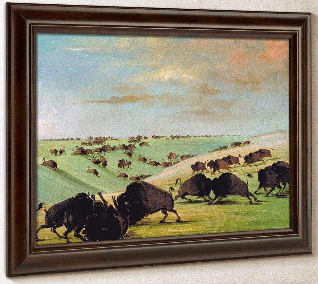 Buffalo Bulls Fighting In Running Season, Upper Missouri By George Catlin Fine Art Print