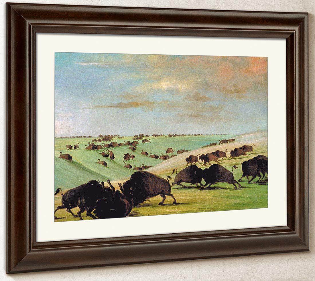 Buffalo Bulls Fighting In Running Season, Upper Missouri By George Catlin Fine Art Print