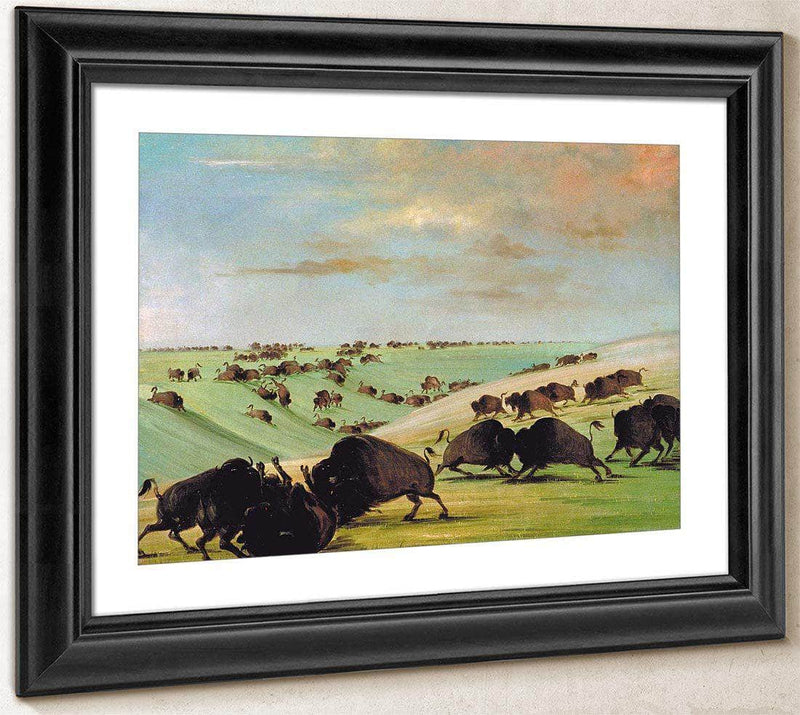 Buffalo Bulls Fighting In Running Season, Upper Missouri By George Catlin Fine Art Print