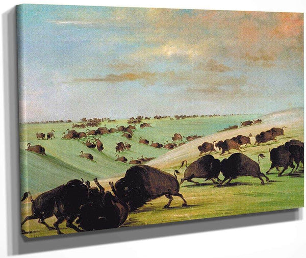 Buffalo Bulls Fighting In Running Season, Upper Missouri By George Catlin Fine Art Print