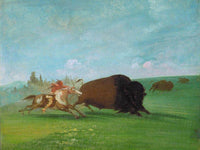 Buffalo Chase, A Single Death By George Catlin Fine Art Print