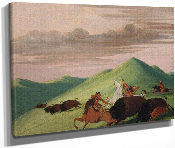 Buffalo Chase, Bull Protecting A Cow And Calf By George Catlin Fine Art Print