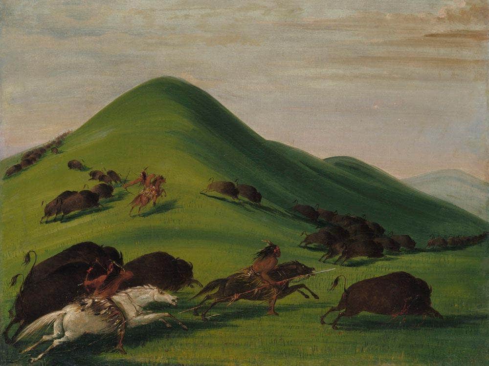 Buffalo Chase Over Prairie Bluffs By George Catlin Fine Art Print