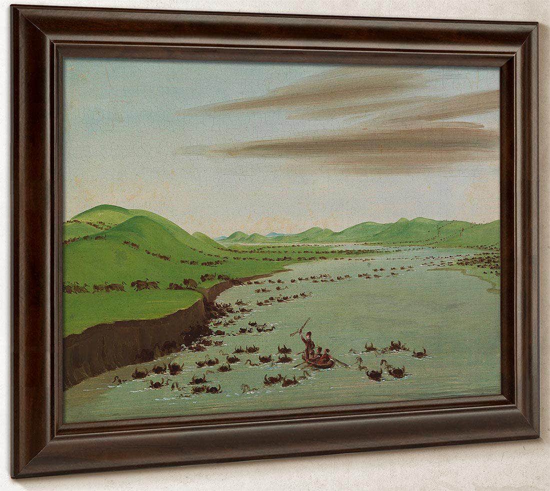 Buffalo Herds Crossing The Upper Missouri By George Catlin Fine Art Print