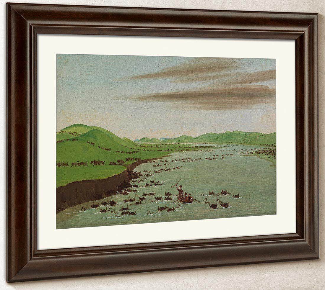 Buffalo Herds Crossing The Upper Missouri By George Catlin Fine Art Print