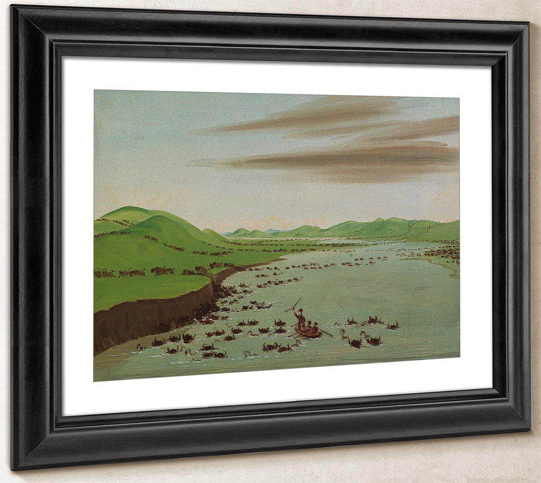 Buffalo Herds Crossing The Upper Missouri By George Catlin Fine Art Print