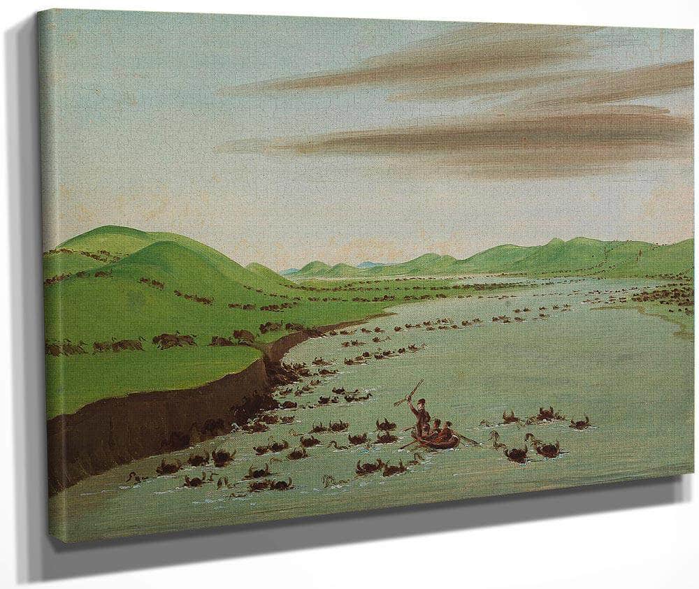 Buffalo Herds Crossing The Upper Missouri By George Catlin Fine Art Print