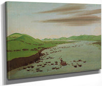 Buffalo Herds Crossing The Upper Missouri By George Catlin Fine Art Print