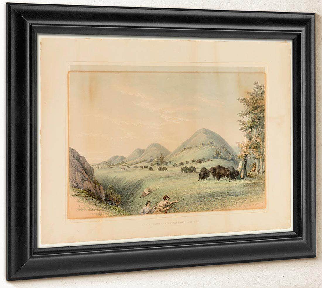 Buffalo Hunt; Approaching In A Ravine  No. 11 By George Catlin Fine Art Print