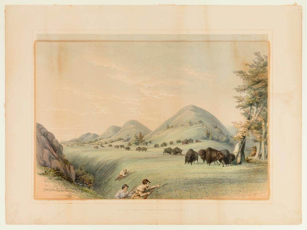 Buffalo Hunt; Approaching In A Ravine  No. 11 By George Catlin Fine Art Print
