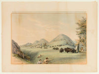 Buffalo Hunt; Approaching In A Ravine  No. 11 By George Catlin Fine Art Print