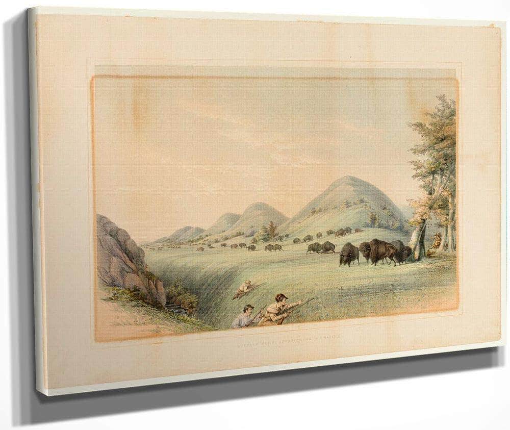 Buffalo Hunt; Approaching In A Ravine  No. 11 By George Catlin Fine Art Print