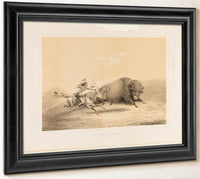 Buffalo Hunt, Chase  No. 5 By George Catlin Fine Art Print