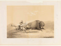 Buffalo Hunt, Chase  No. 5 By George Catlin Fine Art Print