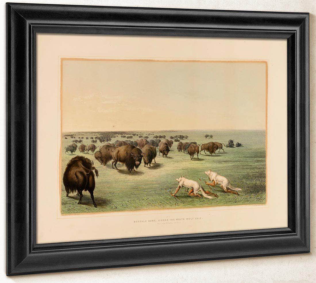 Buffalo Hunt, Under The White Wolfskin  No. 13 By George Catlin Fine Art Print