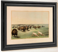 Buffalo Hunt, Under The White Wolfskin  No. 13 By George Catlin Fine Art Print