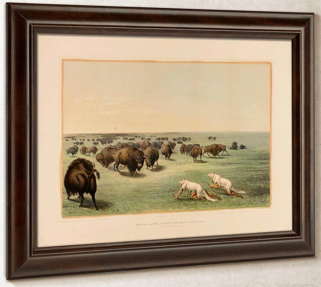 Buffalo Hunt, Under The White Wolfskin  No. 13 By George Catlin Fine Art Print