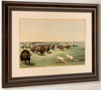 Buffalo Hunt, Under The White Wolfskin  No. 13 By George Catlin Fine Art Print