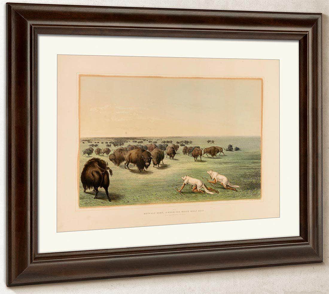 Buffalo Hunt, Under The White Wolfskin  No. 13 By George Catlin Fine Art Print
