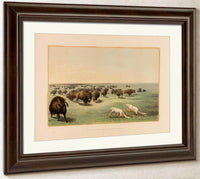 Buffalo Hunt, Under The White Wolfskin  No. 13 By George Catlin Fine Art Print