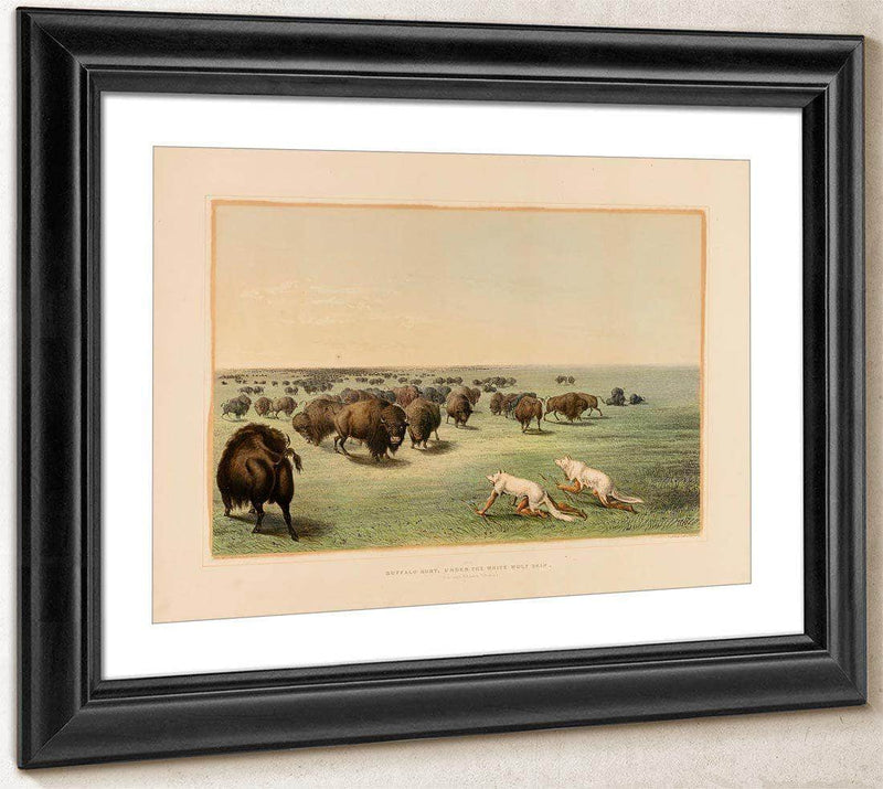Buffalo Hunt, Under The White Wolfskin  No. 13 By George Catlin Fine Art Print