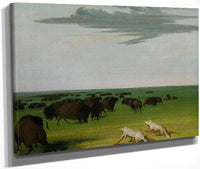 Buffalo Hunt Under The Wolf Skin Mask By George Catlin Fine Art Print