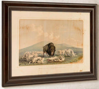 Buffalo Hunt, White Wolves Attacking A Buffalo Bull  No. 10 By George Catlin Fine Art Print