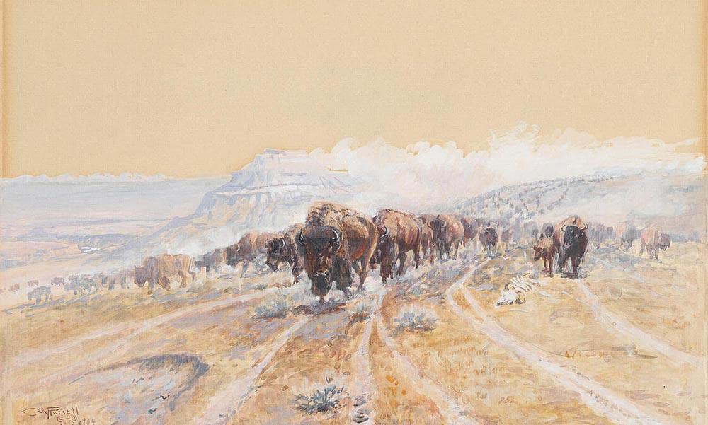 Buffalo On The Move By Charles Marion Russell Fine Art Print