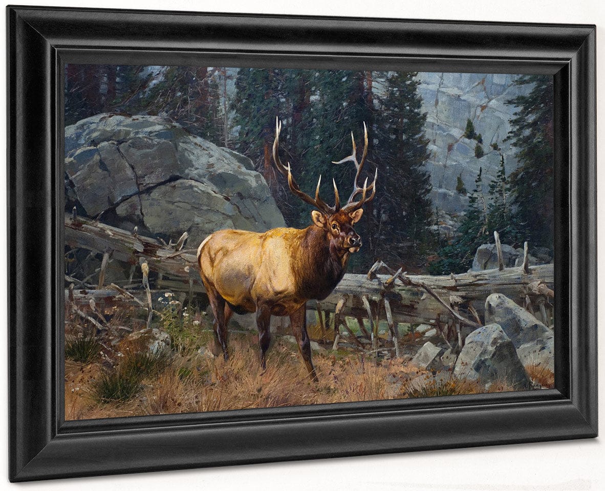 Bull Elk In The High Country By Carl Rungius Fine Art Print