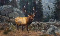 Bull Elk In The High Country By Carl Rungius Fine Art Print