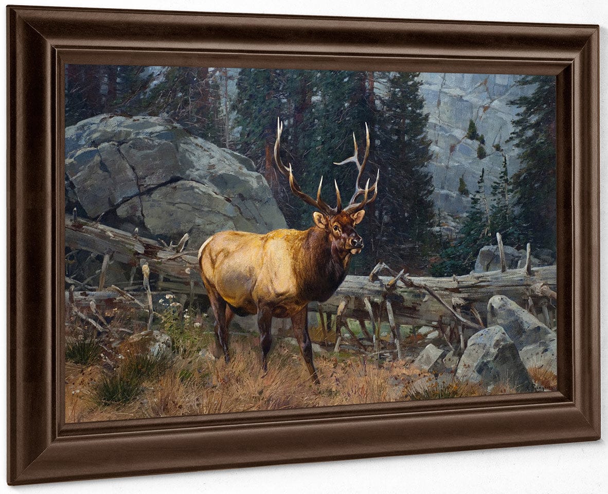 Bull Elk In The High Country By Carl Rungius Fine Art Print