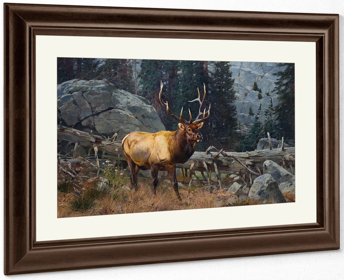 Bull Elk In The High Country By Carl Rungius Fine Art Print