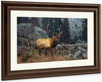 Bull Elk In The High Country By Carl Rungius Fine Art Print
