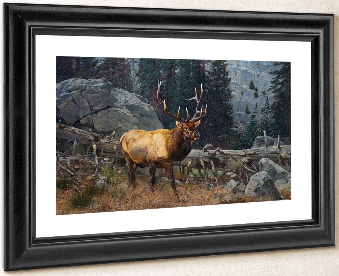 Bull Elk In The High Country By Carl Rungius Fine Art Print