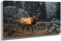 Bull Elk In The High Country By Carl Rungius Fine Art Print
