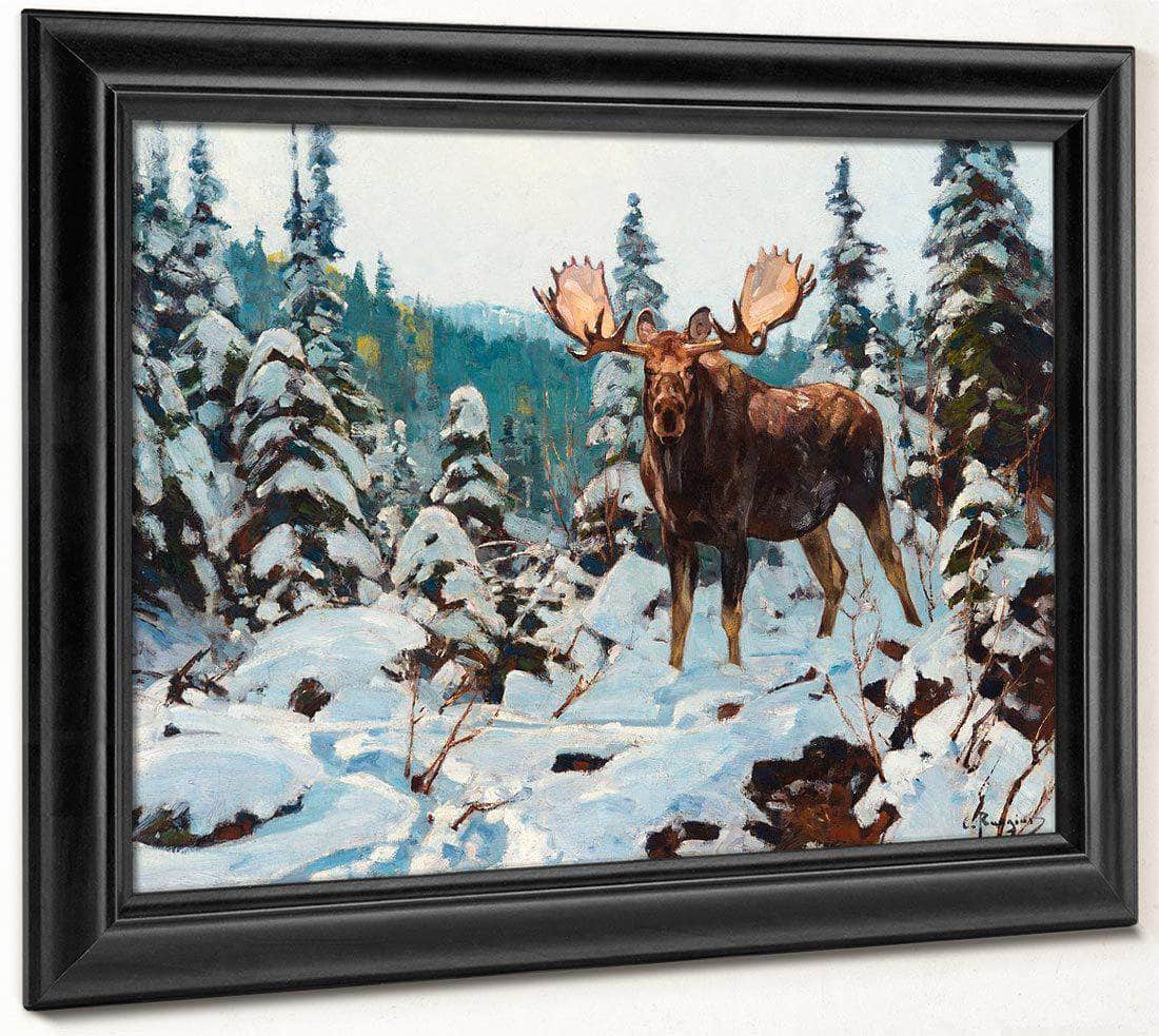 Bull Moose By Carl Rungius Fine Art Print