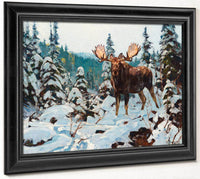 Bull Moose By Carl Rungius Fine Art Print