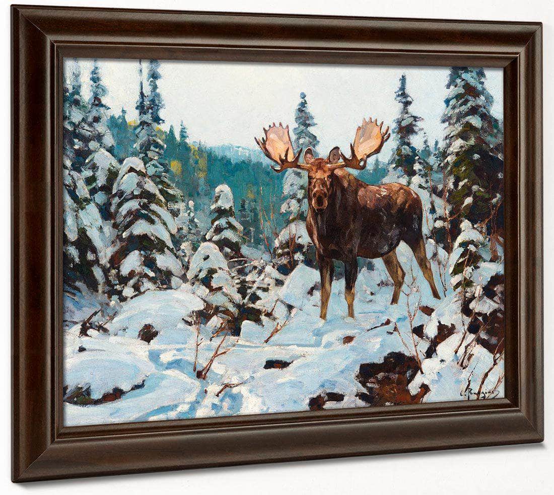 Bull Moose By Carl Rungius Fine Art Print
