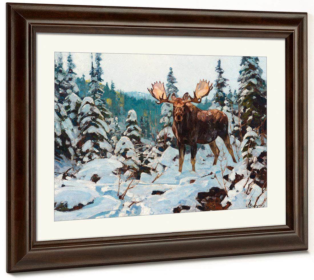 Bull Moose By Carl Rungius Fine Art Print
