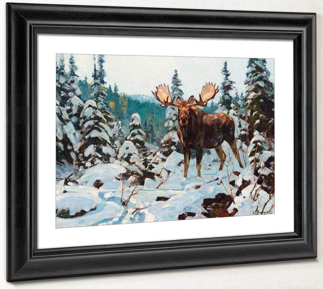 Bull Moose By Carl Rungius Fine Art Print
