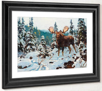 Bull Moose By Carl Rungius Fine Art Print